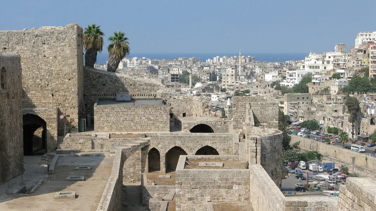 مبادرات جديدة لدعم المزارعين في عكّار مع انطلاق موسم الزيتون