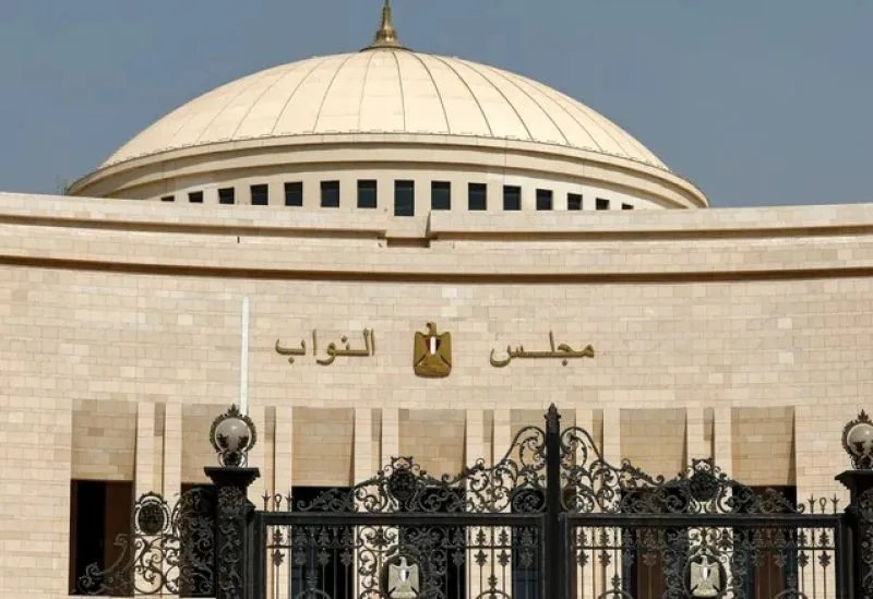 البرلمان المصري يوافق على طلب تقديم الدعم العسكري للسعودية